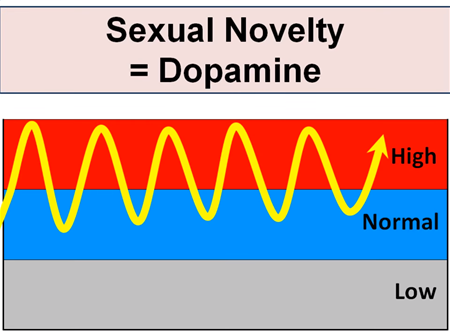 3. Porn dopamine