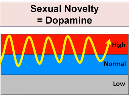 Novelty speeds up learning with dopamine