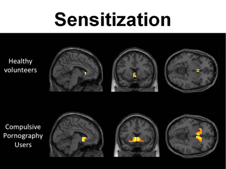 7. Sensitivisation