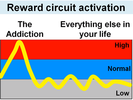 Káº¿t quáº£ hÃ¬nh áº£nh cho porn withdrawal graph