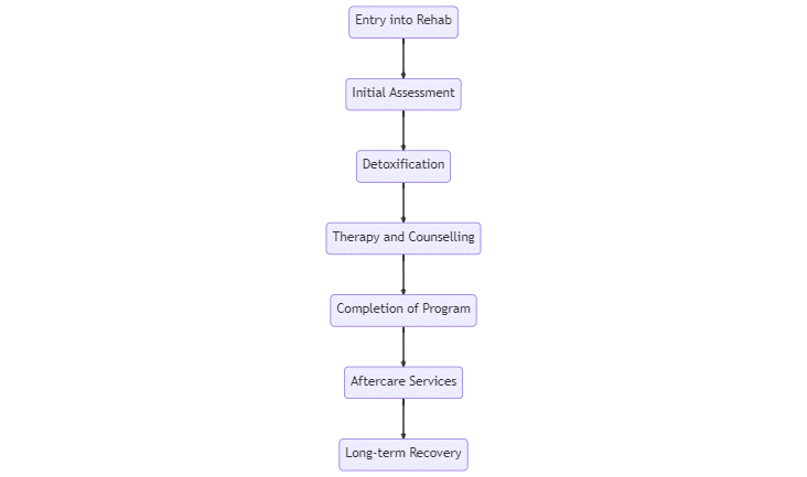 The Addiction Process