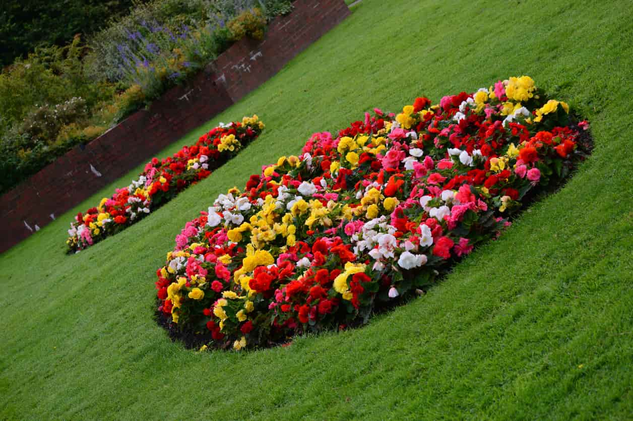 A flower garden near wigan