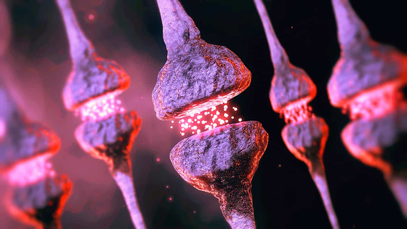 Graphic of serotonin neurotransmitters