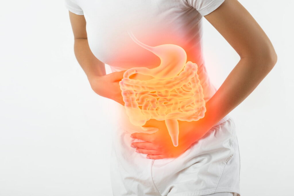Graphic of the organs affected by alcohol in the gut