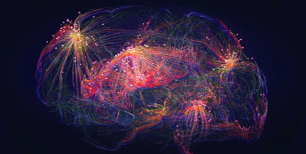How Are Addictions Formed? An image of neural network activity in the brain